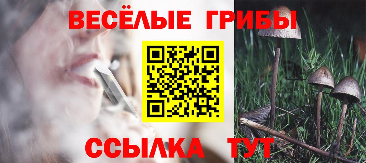 магазин    Псилоцибиновые грибы Psilocybine cubensis  Галлюциногенные грибы Cubensis  Вход с VPN  Нижний Новгород 